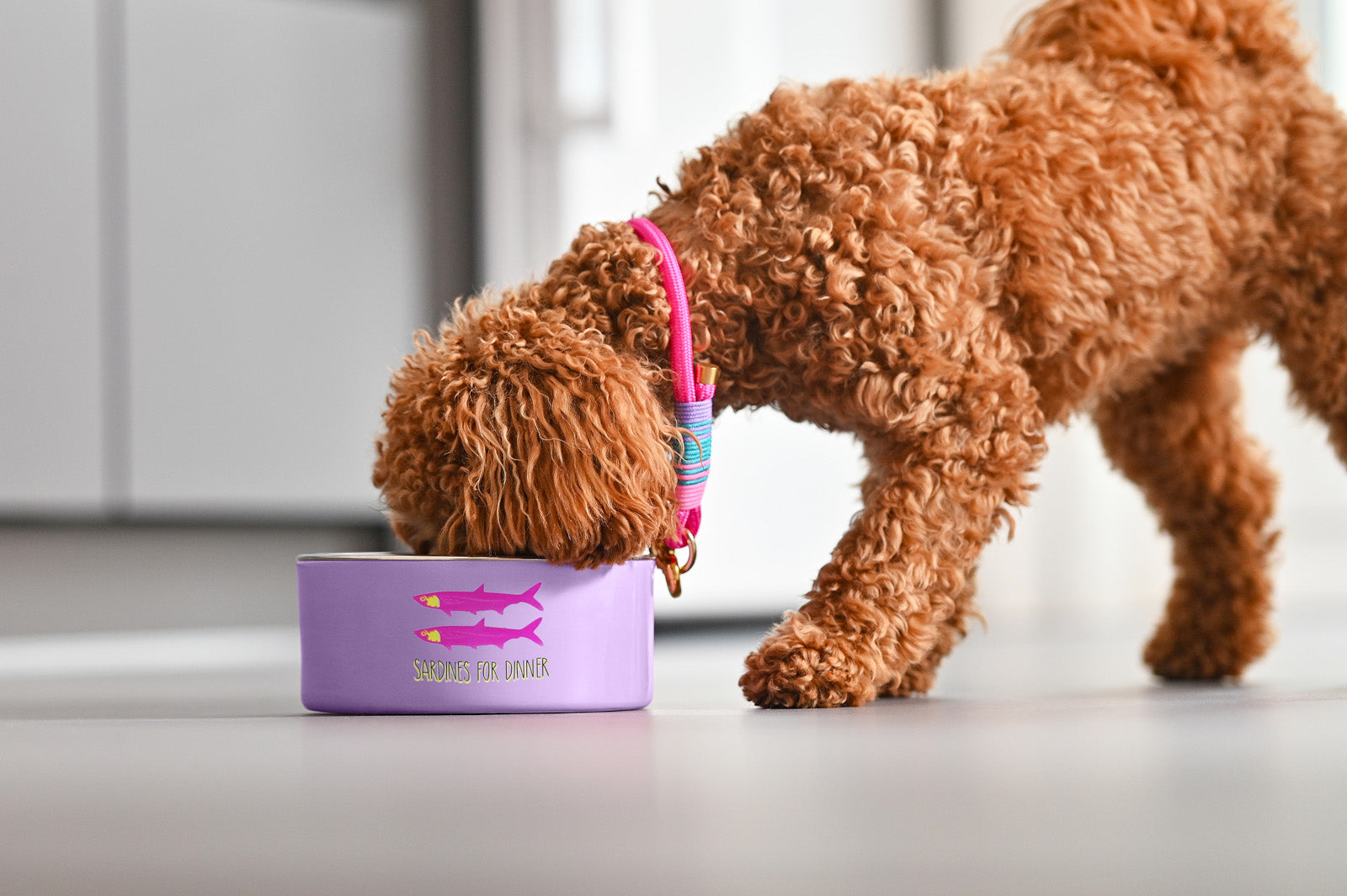 Giftcompany Love Pets Futternapf M Good dog lavender 20cm - Produktbild 2