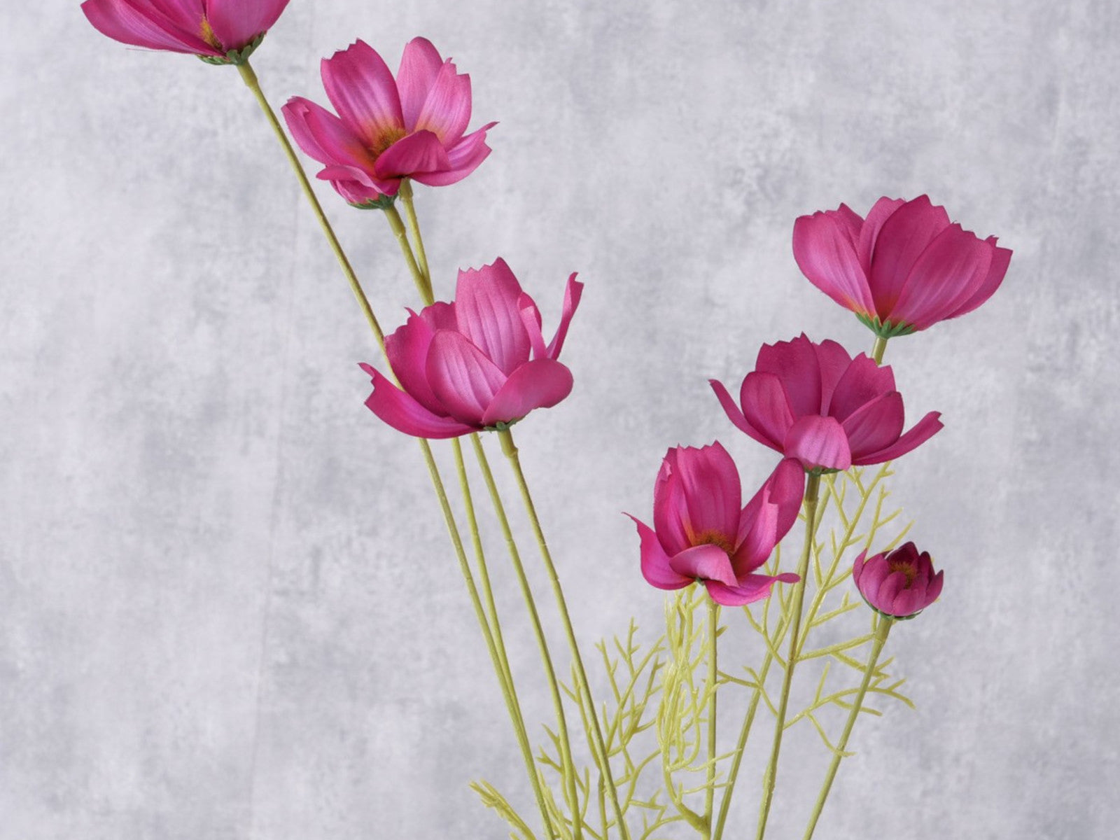 Boltze Stielblume Cosmea grün/pink 91cm - Produktbild 2