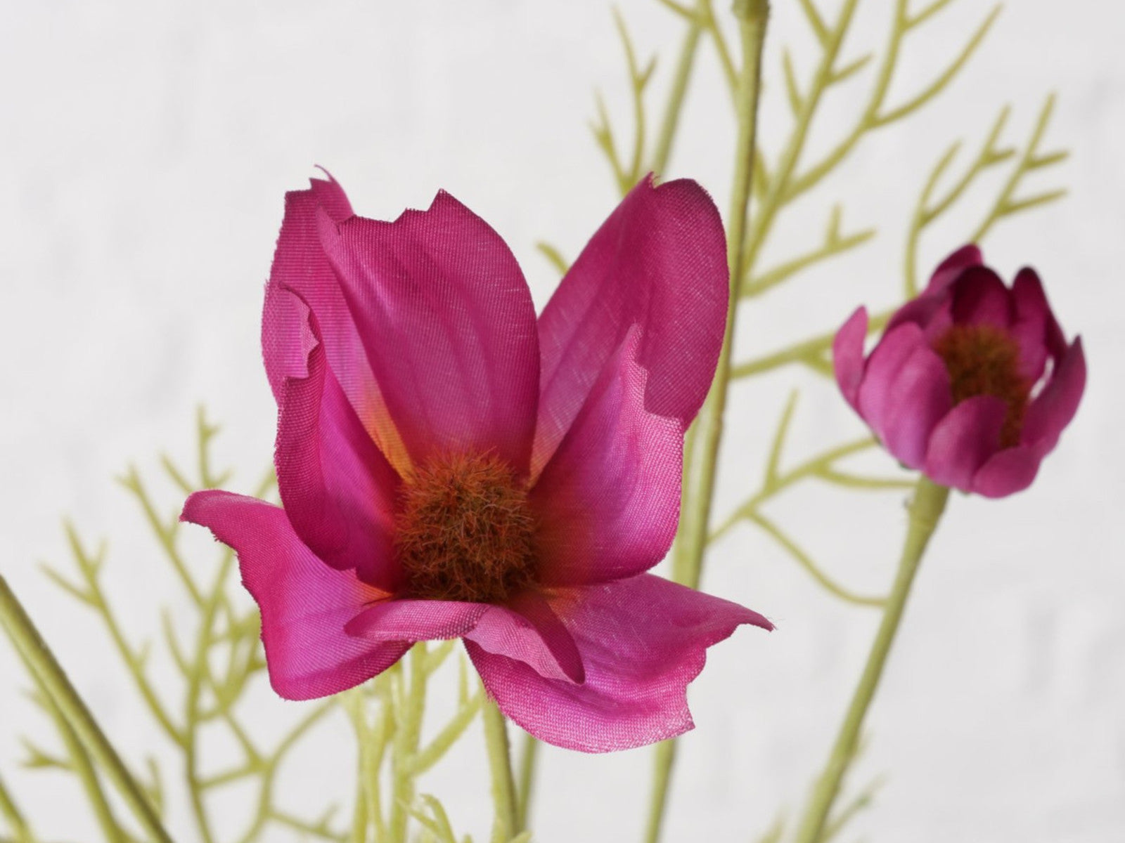 Boltze Stielblume Cosmea grün/pink 91cm - Produktbild 3