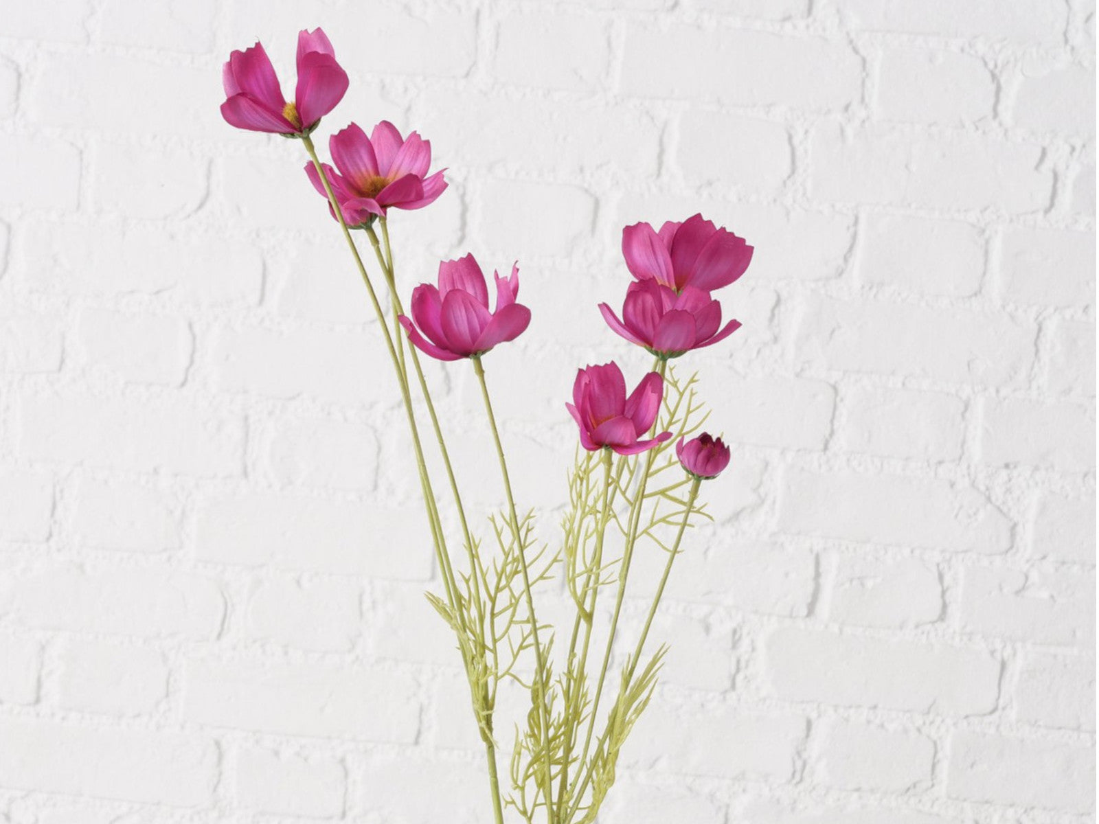 Boltze Stielblume Cosmea grün/pink 91cm - Produktbild 4