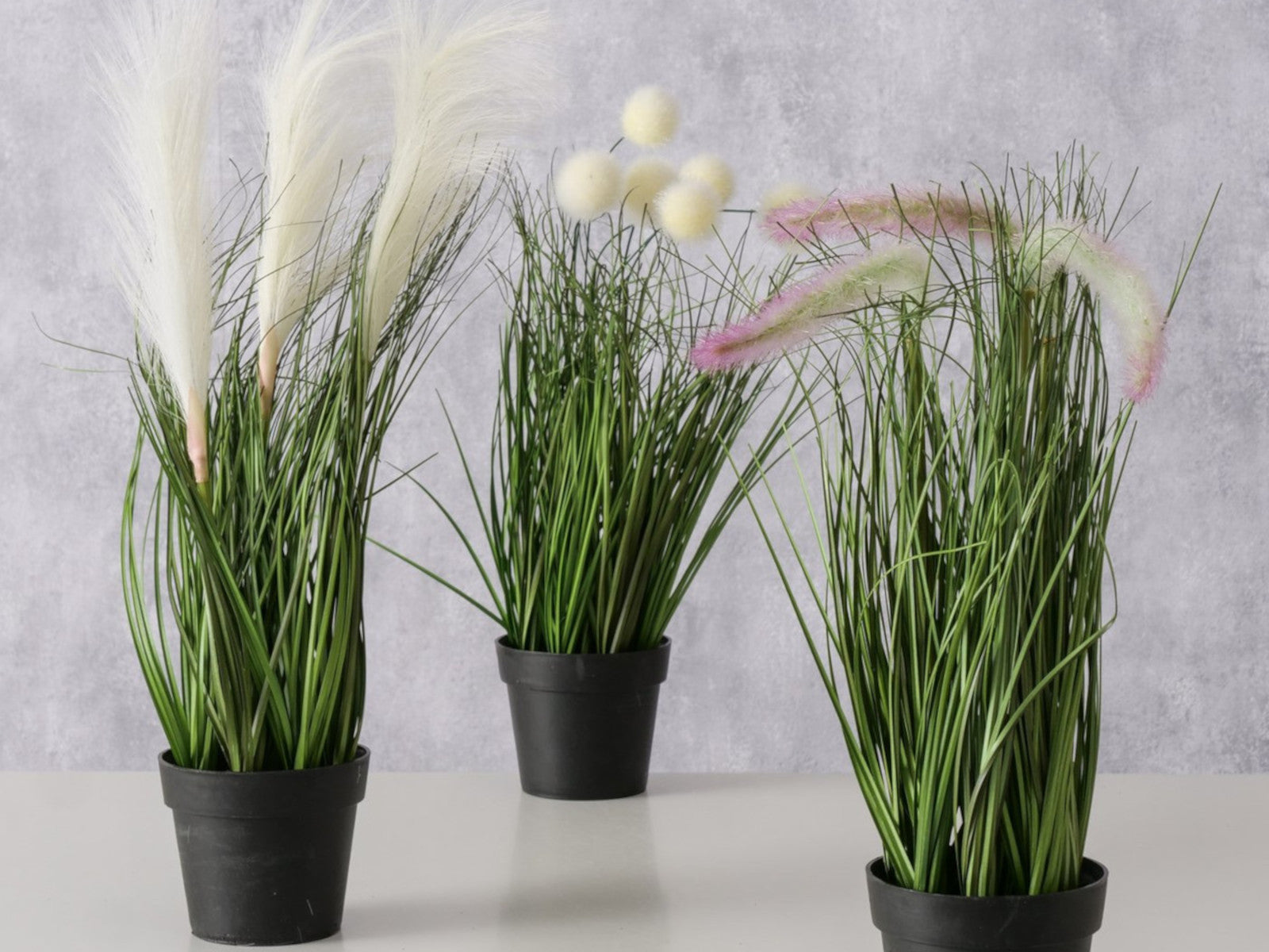 Boltze Topfpflanze Gras mehrfarbig sort. 46cm (1 Stück) - Produktbild 4
