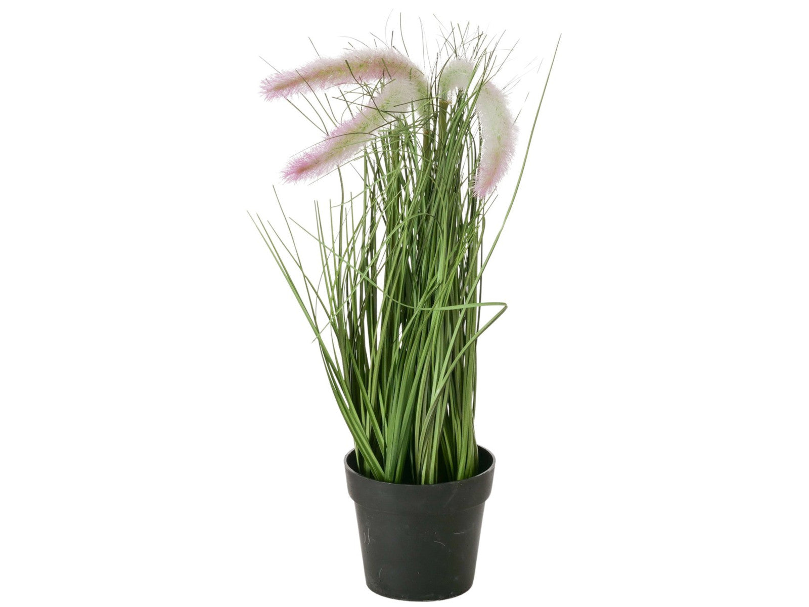 Boltze Topfpflanze Gras mehrfarbig sort. 46cm (1 Stück) - Produktbild 3