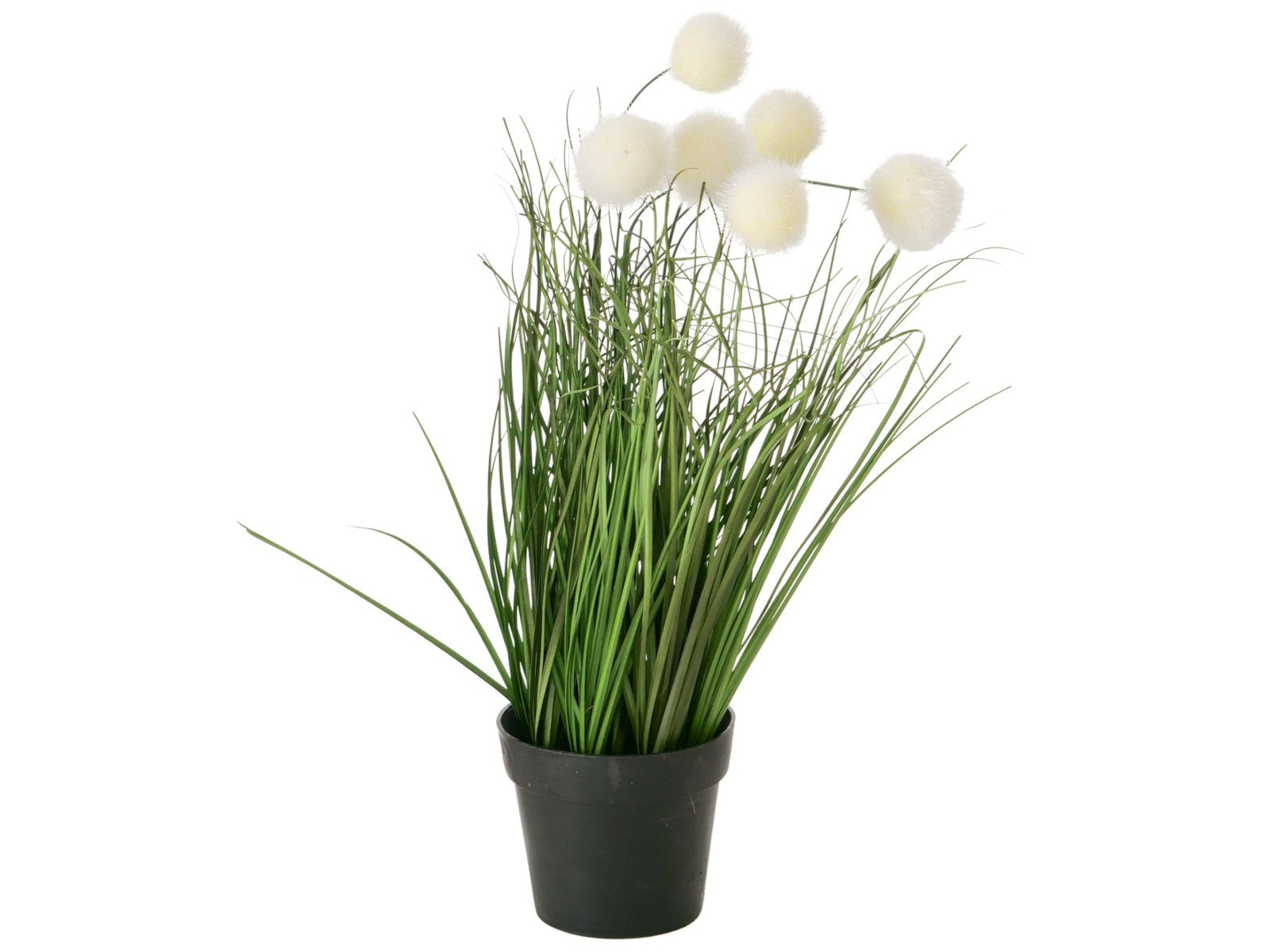 Boltze Topfpflanze Gras mehrfarbig sort. 46cm (1 Stück) - Produktbild 2