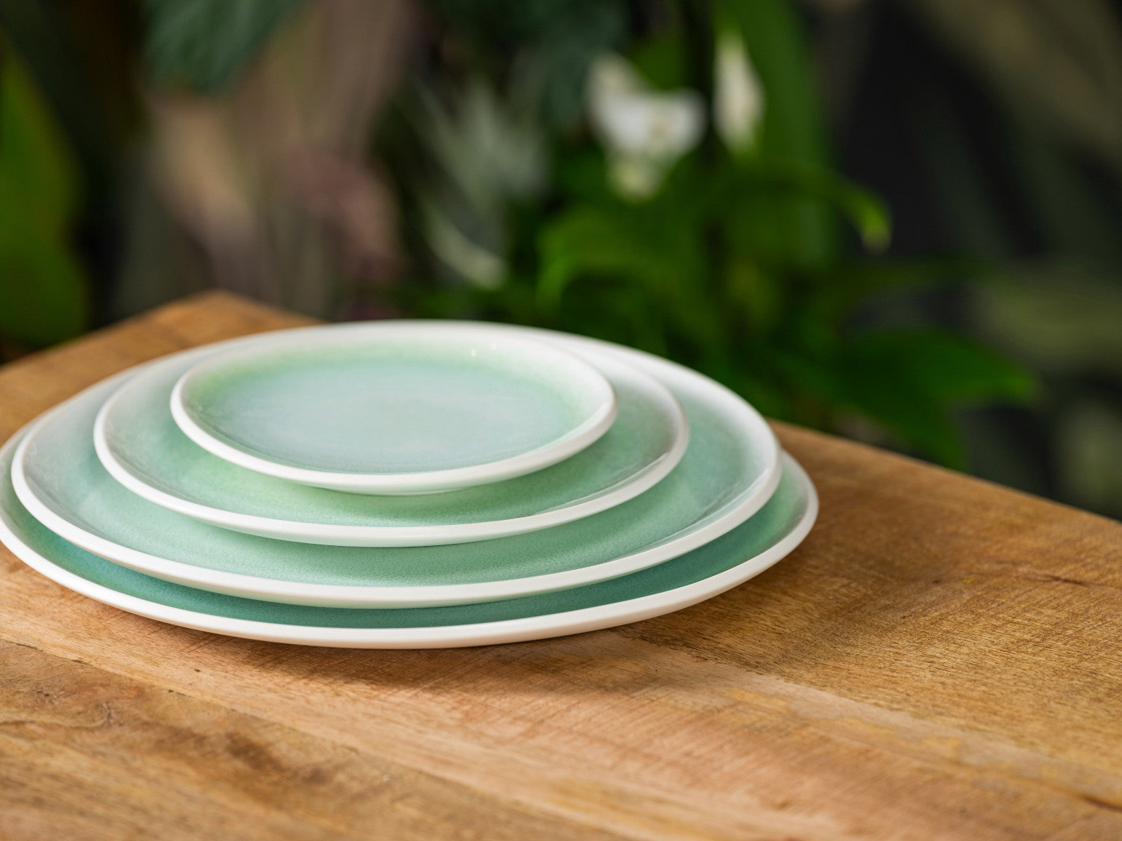 Rosenthal Junto Jungle Teller flach 22 cm - Produktbild 4
