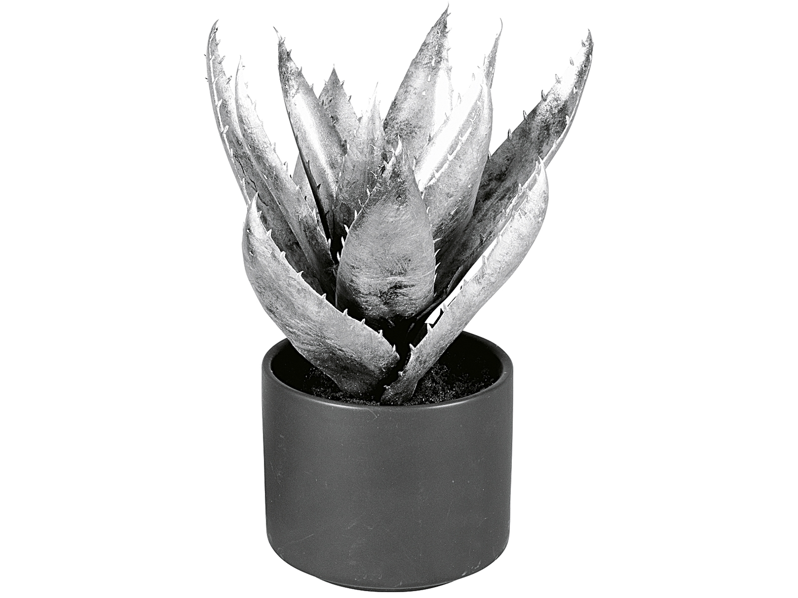 EK Agave im Keramiktopf 27 cm