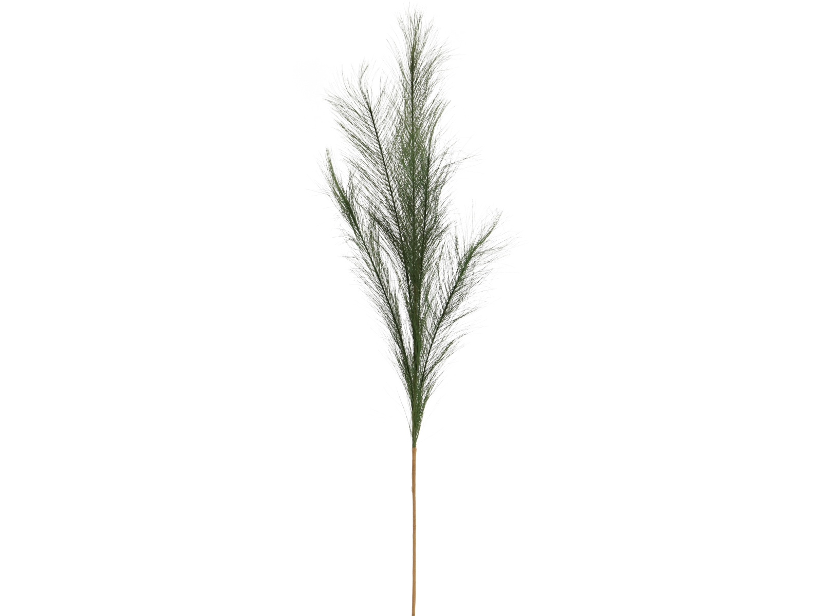 Hoff-Interieur Zierfeder Dunkelgrün 80cm 1 Stück