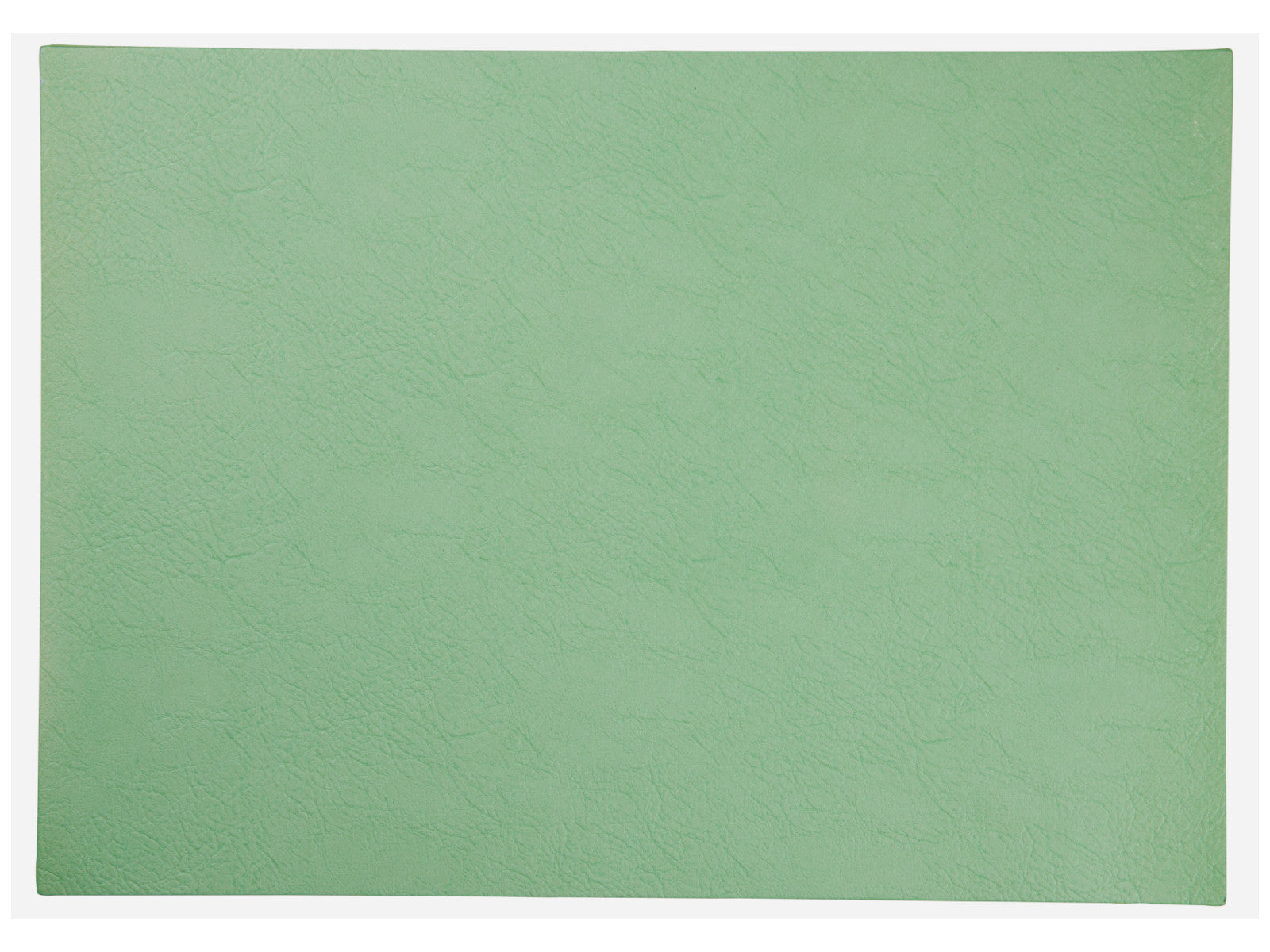 ASA vegan leather Tischset basil 46x33cm