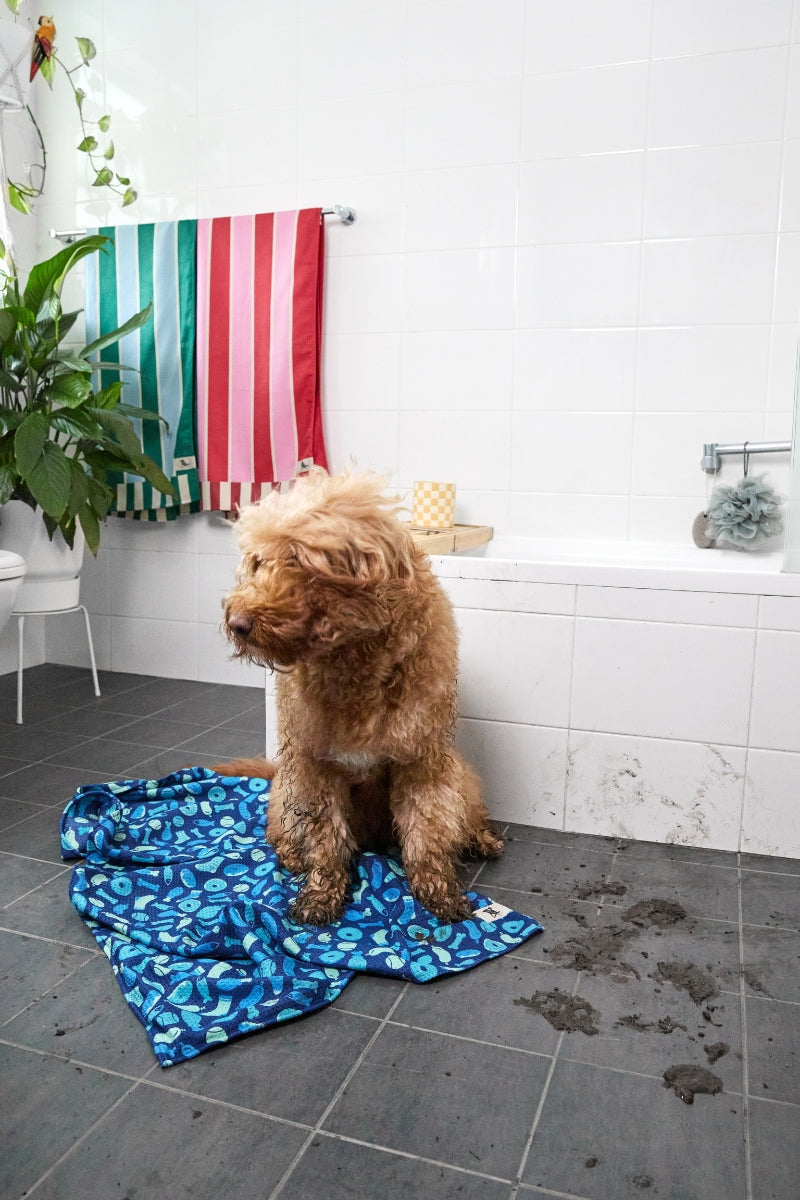 Dock & Bay Hundehandtuch M A Dogs Dinner 90x50cm - Produktbild 10
