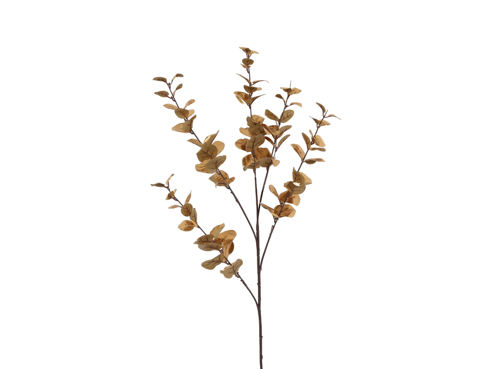 Decostar Dekozweig Eucalyptus Cinerea gold 94cm
