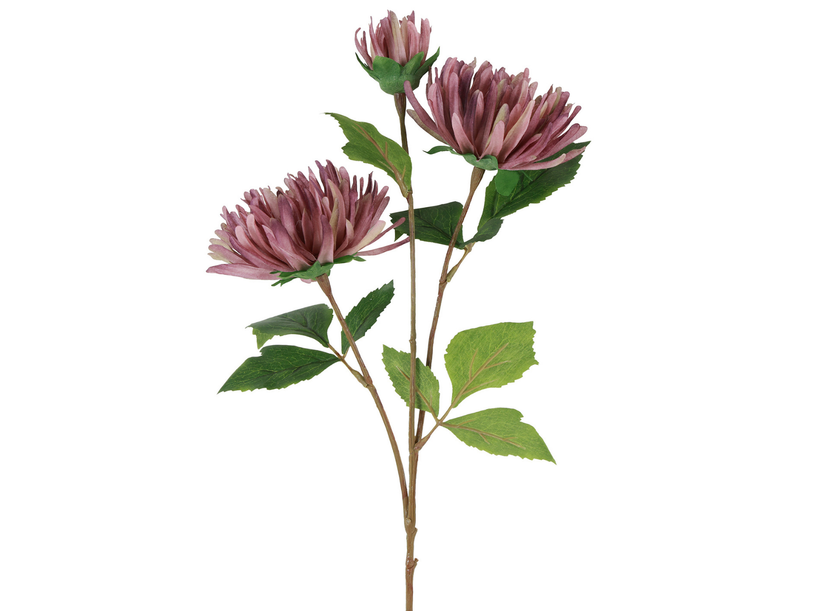 Decostar Blume verzweigt Chrysanthemum Vienna purpur 73cm