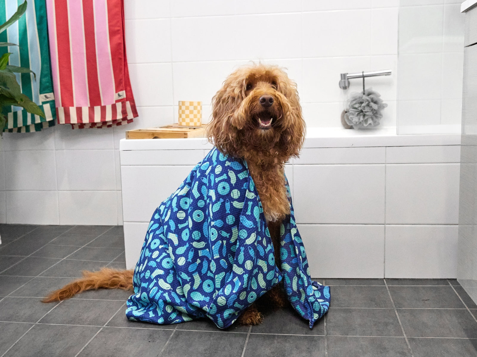 Dock & Bay Hundehandtuch M A Dogs Dinner 90x50cm - Produktbild 8