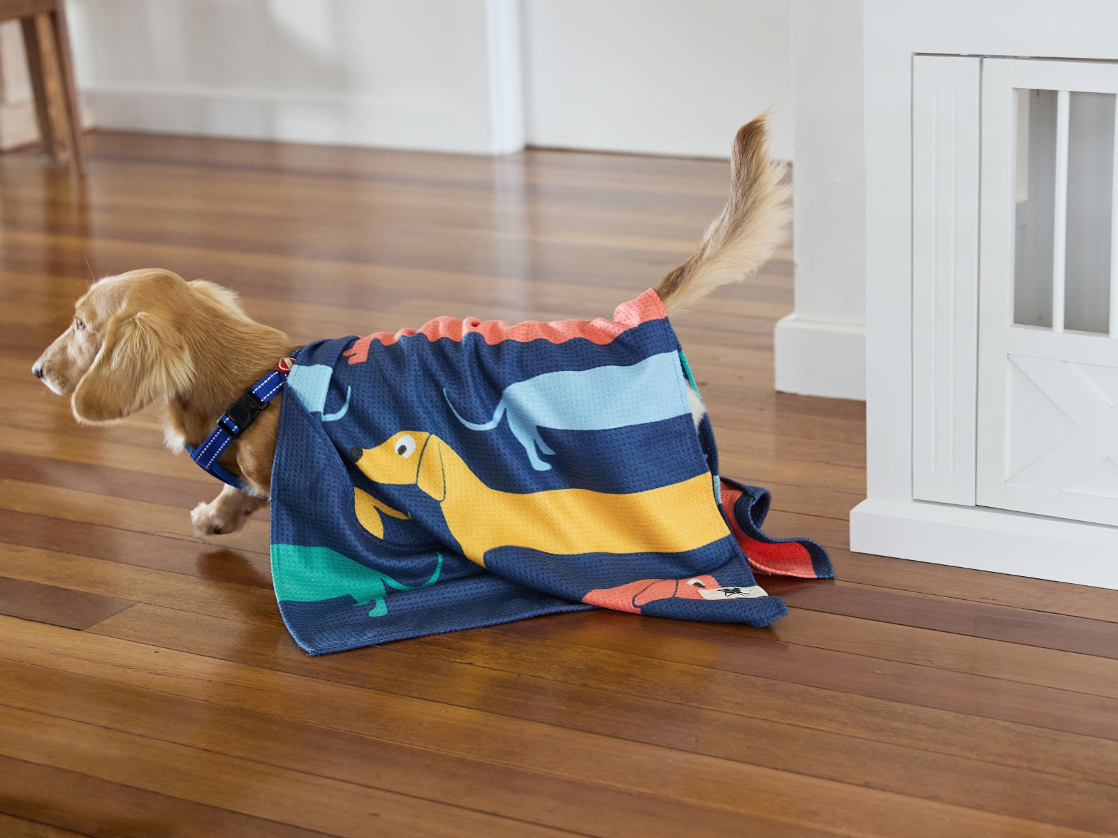 Dock & Bay Hundehandtuch M Go Long 90x50cm - Produktbild 12