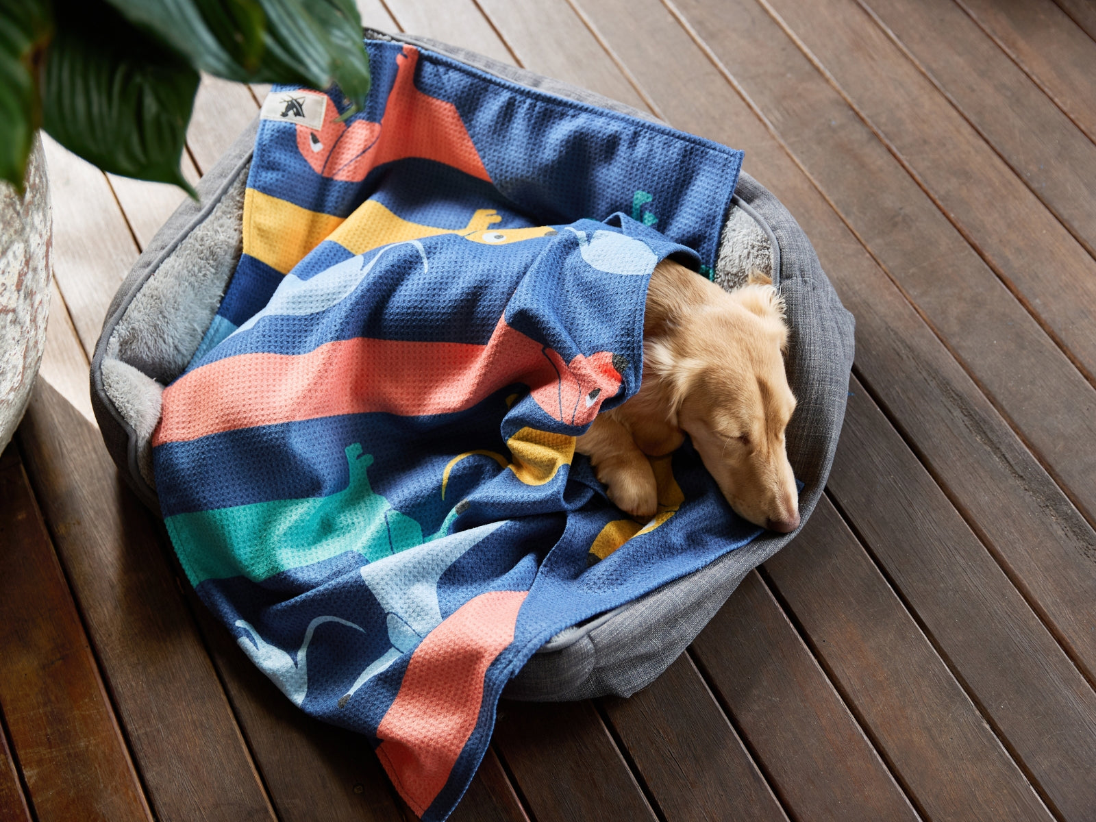 Dock & Bay Hundehandtuch L Go Long 120x70cm - Produktbild 13