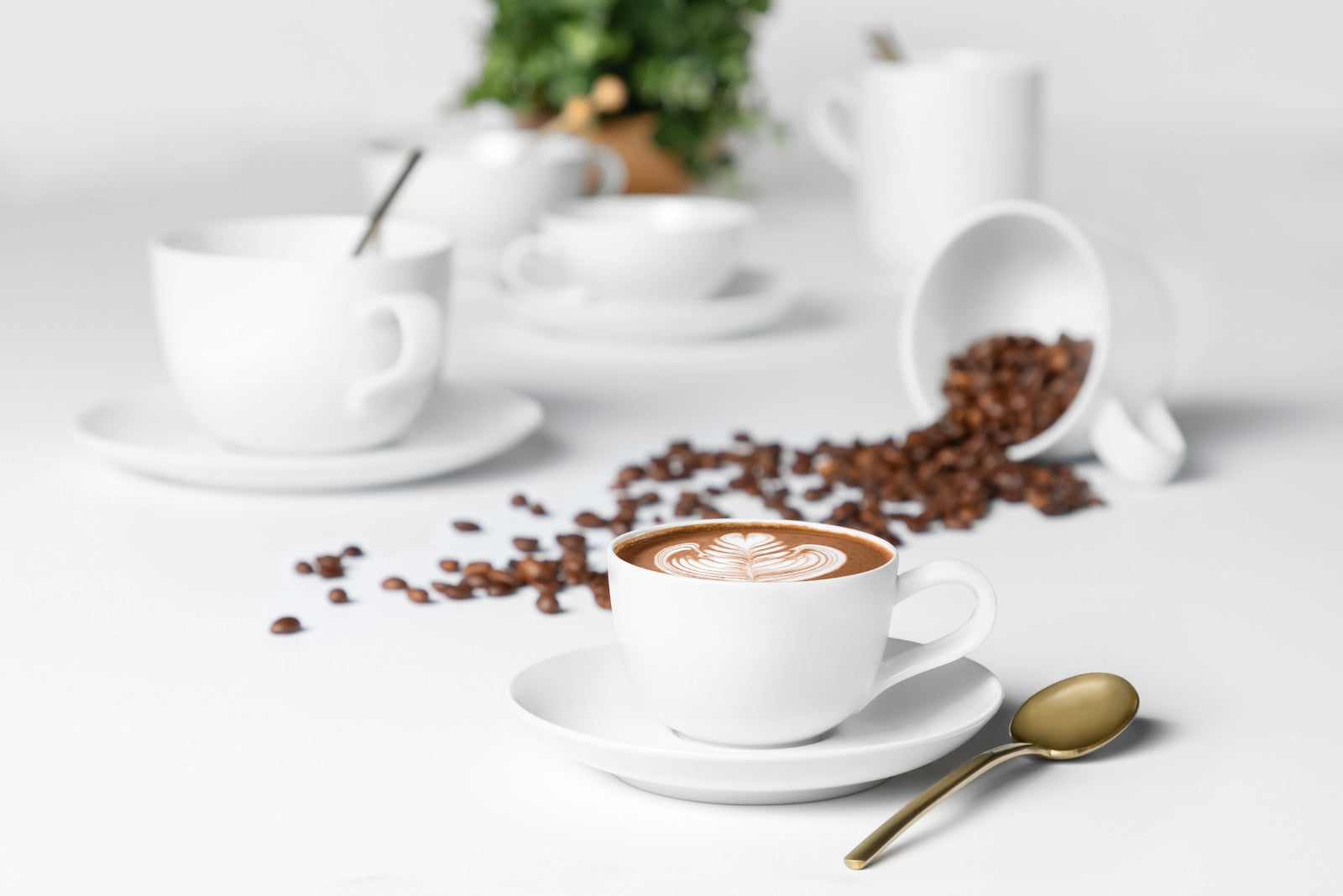 Seltmann Weiden Liberty weiss uni Espressountertasse 12 cm - Produktbild 5