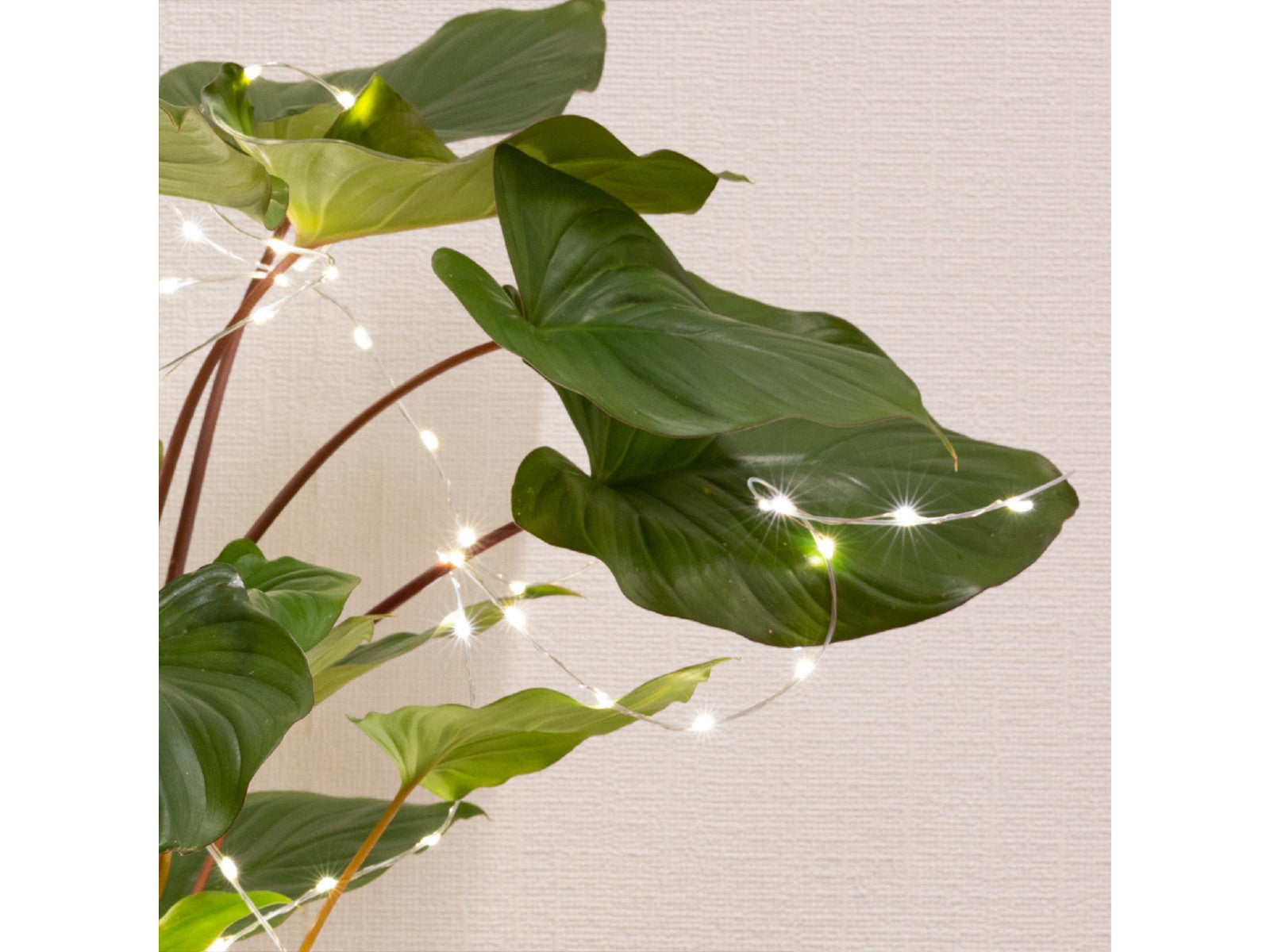Lumineo Micro LED-Beleuchtung silber 80 cm - Produktbild 3