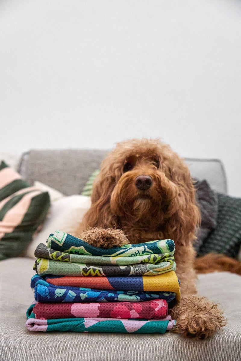 Dock & Bay Hundehandtuch M Pink Paws 90x50cm - Produktbild 14