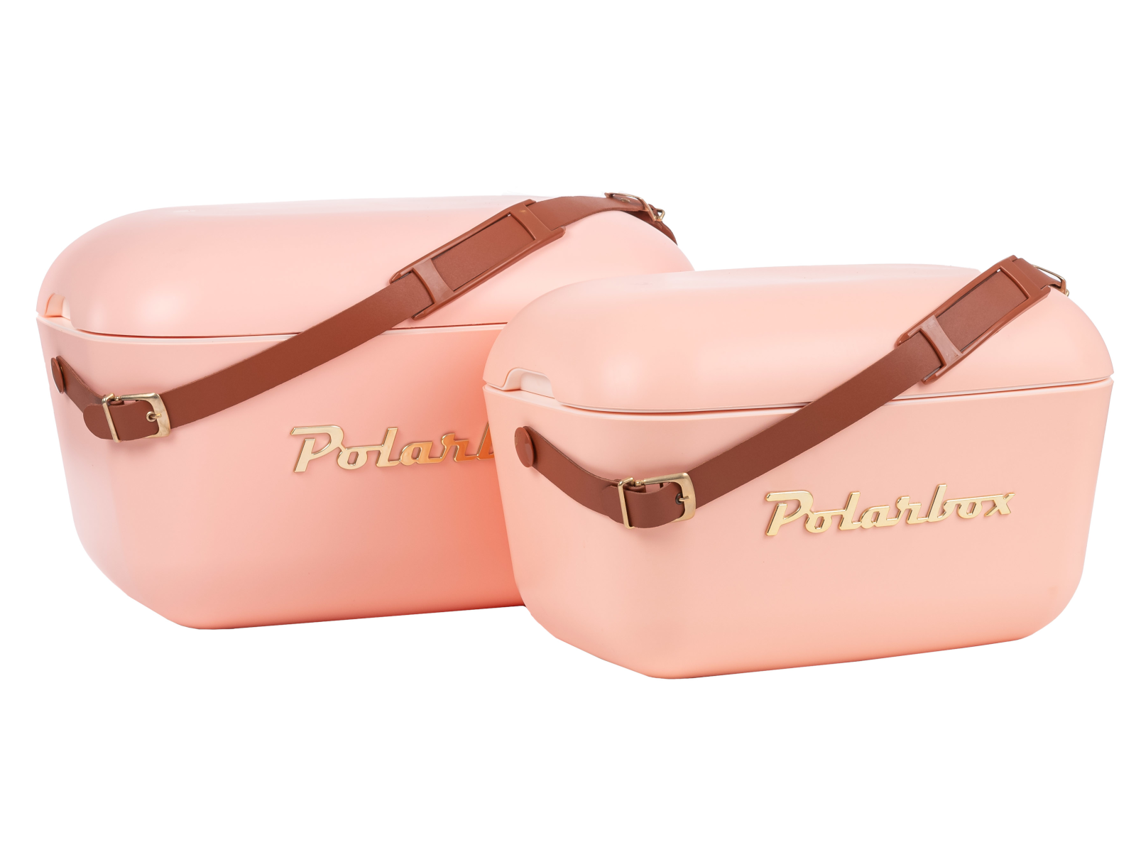 Polarbox Gold Coral 12l - Produktbild 5