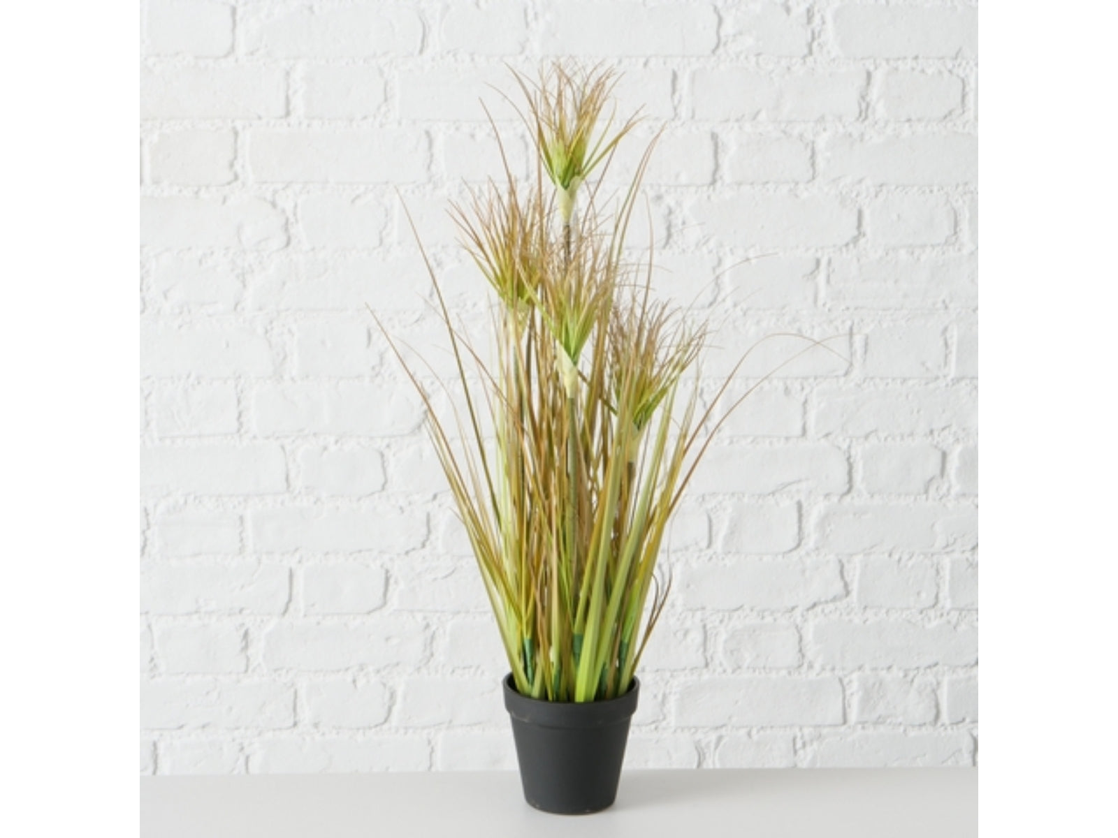 Boltze Topfplanze Zwiebelgras 98 cm - Produktbild 2