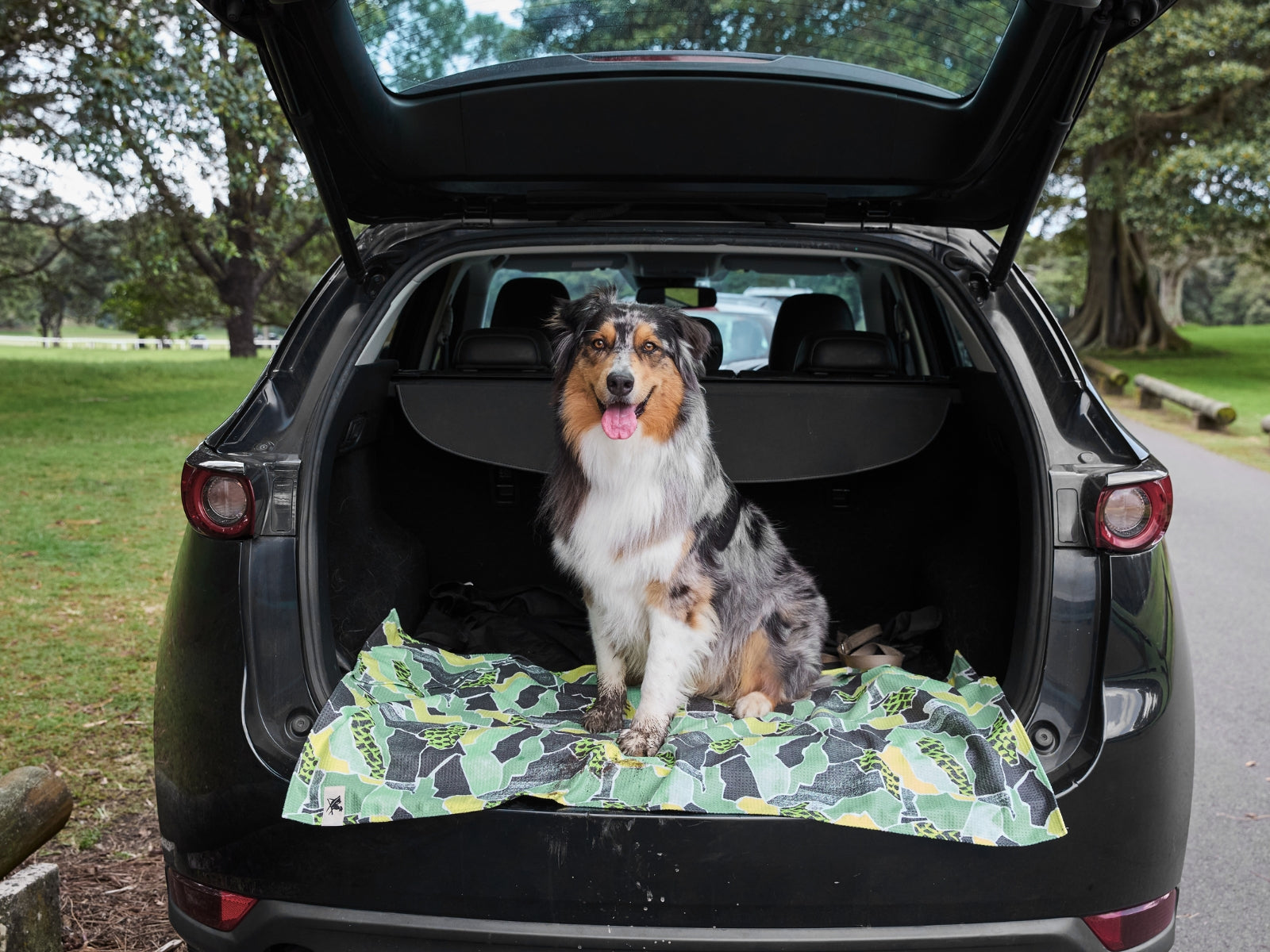 Dock & Bay Hundehandtuch L Undercover Walkies 120x70cm - Produktbild 11